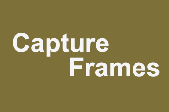 How to capture frames from video and save as pictures?